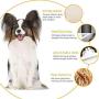 N/C Dog Hair Clipper Low Noise Pet Hair Clipper Rechargeable Dog Trimmer Cordless Pet Grooming Tool Professional Dog Hair Trimmer Comb Scissors Manicure Kit Cats and Other Hair Animals