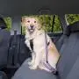 Didog Dog Safety Seat Belt, Dog Vehicle Car Harness/Leash with Handle for Car Travel Walking,Adjustable Dog Leashes Fit Small Medium Large Dogs,Blue Didog Dog Safety Seat Belt, Dog Vehicle Car Harness/Leash with Handle for Car Travel Walking,Adjustable Dog Leashes Fit Small Medium Large Dogs,Blue