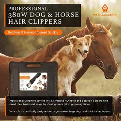 Pet & Livestock HQ | 380W Professional Dog Grooming Clippers Kit, XL & Large Dog Haircut Machine, Heavy-Duty, Electric Hair Trimmer for Dogs with Thick Coats, Horses, Equine, Cattle, 2 Blades