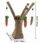 Litewood Pet Climbing Tree Toy Cat Rattan Grass Scratcher Bunny Fun Tree Rabbit Toy Small Animal Climbing Frame Activity Center with Carrot for Cat Rabbit Hamster Litewood Pet Climbing Tree Toy Cat Rattan Grass Scratcher Bunny Fun Tree Rabbit Toy Small Animal Climbing Frame Activity Center with Carrot for Cat Rabbit Hamster
