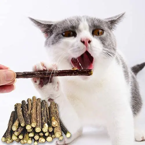 AnHua 15 pcs Pure Natural Catnip Pet Cat Toy Safety Molar Toothpaste Branch Cleaning Teeth Cat Snacks Sticks Pet Supplies AnHua 15 pcs Pure Natural Catnip Pet Cat Toy Safety Molar Toothpaste Branch Cleaning Teeth Cat Snacks Sticks Pet Supplies