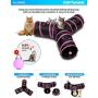 All Prime Cat Tunnel - Also Included is a ($5 Value) Interactive Cat Toy - Toys for Cats - Cat Tunnels for Indoor Cats - Cat Tube - Collapsible 3 Way Pet Tunnel - Great Toy for Cats