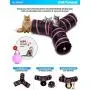 All Prime Cat Tunnel - Also Included is a ($5 Value) Interactive Cat Toy - Toys for Cats - Cat Tunnels for Indoor Cats - Cat Tube - Collapsible 3 Way Pet Tunnel - Great Toy for Cats All Prime Cat Tunnel - Also Included is a ($5 Value) Interactive Cat Toy - Toys for Cats - Cat Tunnels for Indoor Cats - Cat Tube - Collapsible 3 Way Pet Tunnel - Great Toy for Cats