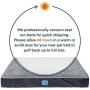 Sealy Ultra Plush Dog Bed with Orthopedic Foam and Washable Cover, Multiple Sizes