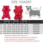 SunteeLong Winter Puppy Dog Coat Waterproof Pet Clothes Windproof Dog Snowsuit Warm Fleece Padded Winter Pet Clothes for Small Dogs Red XS SunteeLong Winter Puppy Dog Coat Waterproof Pet Clothes Windproof Dog Snowsuit Warm Fleece Padded Winter Pet Clothes for Small Dogs Red XS