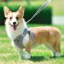 Cat Harness and Leash for Walking, Adjustable Escape Proof Vest with Reflective Strips, Travel Outdoor Jacket Fit for Kitten Puppy Rabbit Dogs by Pet Supplies in Mesh Ferretss Travel Car Seat Belt
