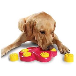 Winnii Multifunction Pet Bowl Feeder 7 Holes Dog Paw Educational Toys Puppy Puzzle Safety Plastic Dog Toy