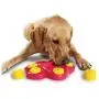 Winnii Multifunction Pet Bowl Feeder 7 Holes Dog Paw Educational Toys Puppy Puzzle Safety Plastic Dog Toy Winnii Multifunction Pet Bowl Feeder 7 Holes Dog Paw Educational Toys Puppy Puzzle Safety Plastic Dog Toy