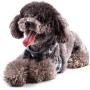RYPET Small Dog Harness and Leash Set - No Pull Pet Harness with Soft Mesh Nylon Vest for Small Dogs and Cats