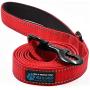 Max and Neo Reflective Nylon Dog Leash - We Donate a Leash to a Dog Rescue for Every Leash Sold Max and Neo Reflective Nylon Dog Leash - We Donate a Leash to a Dog Rescue for Every Leash Sold