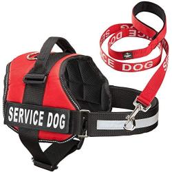 Industrial Puppy Service Dog Vest with Hook and Loop Straps & Matching Service Dog Leash Set - Harnesses from XXS to XXL - Service Dog Harness Features Reflective Patch and Comfortable Mesh Design