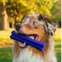 Playology Silver All-Natural Scented Dental Chew Stick