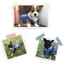 Pet Clothes Dog Jeans Jacket Cool Blue Denim Coat Small Medium Dogs Cats Lapel Vests Classic Puppy Blue Vintage Washed Clothes Hoodie Vest