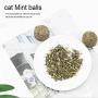 Bitcircuit Cat Mint Ball, Cat Catnip Sticks Mint Ball, Lickable Cat Treats Stick-On Wall Toy with Adhesive Sticker Natural Compressed Catnip Ball Toy for Pet Relieve Stress Soothing Breath