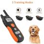 PetInn Dog Training Collar Bundle with Dog Treat Toy Ball