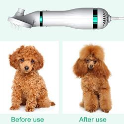 PETRIP Dog Dryer, Upgraded Dog Hair Dryer Blower, Stronger 3-in-1 Pet Hair Dryer with 2 Pet Grooming Gloves - Professional Home Pet Dryer with Slicker Brush for Medium Small Dogs Cats