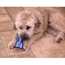 Hugs Pet Products Arctic Freeze Chew Toy