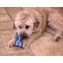 Hugs Pet Products Arctic Freeze Chew Toy