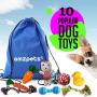 AMZpets 10 Dog Toys for Small Dogs and Puppies. Squeaky Toys | Rope Toys | Plush Games | Chewing Ropes | Balls | Rubber Bone | Carry Bag. Variety Playing Toys Set for Toss and Tug Play.