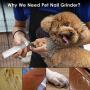 Nado Care Dog Nail Grinder, Electric Dog Nail Trimmer Clipper, 2-Speed Low Noise 3 Ports Rechargeable, Painless Paws Grooming and Smoothing for Small Medium Large Dogs and Cats