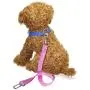 Vastar Adjustable Pet Dog Cat Safety Leads Car Vehicle Seat Belt Harness Seatbelt, Made from Nylon Fabric Vastar Adjustable Pet Dog Cat Safety Leads Car Vehicle Seat Belt Harness Seatbelt, Made from Nylon Fabric