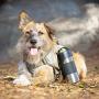 PetFusion Portable Dog Water Bottle (New; Large Dispenser, 22 oz). Insulated 2 Wall Stainless Steel for Optimal Cool Water Temp, Leak Proof, eco Friendly