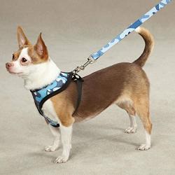 Zack & Zoey Soft Anti Pull Chest Plate Harness & Lead Combos for Dogs Matching Dog Sets !