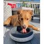 Heyrex Torus Ultimate Water Bowl