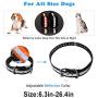 ETPET Dog Collar Belt for Most of Electronic Training Shock Collar Receivers-Adjustable Durable Waterproof Strap Replacement for Barking Collar Fence-Pet TPU Collar Strap