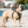 Curli Vest Harness Cord with Air-Mesh Lining Step-in Dog Harness Lightweight Breathable Dog Elegant Durable Harnesses for Small Dogs