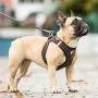 Curli Vest Harness Cord with Air-Mesh Lining Step-in Dog Harness Lightweight Breathable Dog Elegant Durable Harnesses for Small Dogs Curli Vest Harness Cord with Air-Mesh Lining Step-in Dog Harness Lightweight Breathable Dog Elegant Durable Harnesses for Small Dogs