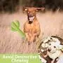 MewaJump Dog Chew Toys, Durable Rubber Dog Toys for Aggressive Chewers, Cactus Tough Toys for Training and Cleaning Teeth, Interactive Dog Toys for Small/Medium Dog MewaJump Dog Chew Toys, Durable Rubber Dog Toys for Aggressive Chewers, Cactus Tough Toys for Training and Cleaning Teeth, Interactive Dog Toys for Small/Medium Dog