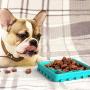 FTGO 4 in 1 Slow Feeder Dog Bowls, Fun Feeder Non Slip Puzzle Bowl & Pet Lick Mat No Chocking Slow Feeder Bloat Stop Dog Cat Food Water Bowl with Funny Pattern