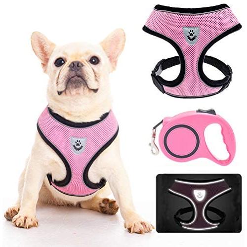Dog Harness with Retractable Leash Set - Reflective Soft Padded Mesh Walking Vest No Pull Pink Puppy Harness and Adjustable 16.10ft Leash for Small Medium Dogs Puppies Cats Pets
