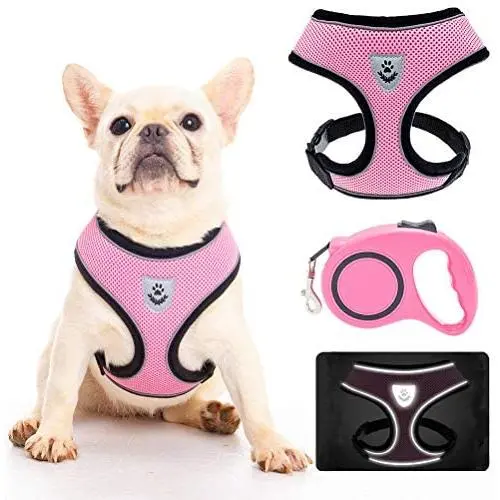Dog Harness with Retractable Leash Set - Reflective Soft Padded Mesh Walking Vest No Pull Pink Puppy Harness and Adjustable 16.10ft Leash for Small Medium Dogs Puppies Cats Pets Dog Harness with Retractable Leash Set - Reflective Soft Padded Mesh Walking Vest No Pull Pink Puppy Harness and Adjustable 16.10ft Leash for Small Medium Dogs Puppies Cats Pets
