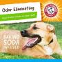 Arm & Hammer Rock N Roller Axis Rubber Chew Toy for Dogs | Bouncing, Rolling, Chewable, Fetchable Dog Toy Made with Natural Rubber and Baking Soda to Help Redirect Destructive Chewing