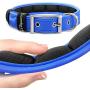 Metric USA Comfort Fit Soft Padded Dog Collar for Small Medium Large Dogs with Buckle Adjustable Comfortable Pet Collar, Blue, Small (6.5''-9'')