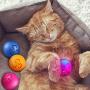 6 Pieces Cat Toy Balls with Jingle Bell, Catnip and LED Training Exercise Mouse Play Toy for Cat Balls, 3 Styles