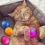 6 Pieces Cat Toy Balls with Jingle Bell, Catnip and LED Training Exercise Mouse Play Toy for Cat Balls, 3 Styles 6 Pieces Cat Toy Balls with Jingle Bell, Catnip and LED Training Exercise Mouse Play Toy for Cat Balls, 3 Styles