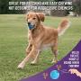 Chew King Dog Box - Durable Fetch Balls, Premium Treater and Chewing Toy Collection, Dog Toy Git Box