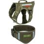 OneTigris Tactical Dog Harness and Collar Set, No Pulling Adjustable Pet Harness Reflective K9 Training Vest Military Service Dog Harness Easy Control for Medium Large Dogs(Ranger Green,M)