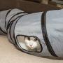 PetLike S Way Cat Tunnel Collapsible Pop-up Pet Tube Hideaway Play Toy with Ball Cat Tube Toy