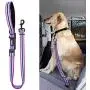 Didog Dog Safety Seat Belt, Dog Vehicle Car Harness/Leash with Handle for Car Travel Walking,Adjustable Dog Leashes Fit Small Medium Large Dogs,Purple Didog Dog Safety Seat Belt, Dog Vehicle Car Harness/Leash with Handle for Car Travel Walking,Adjustable Dog Leashes Fit Small Medium Large Dogs,Purple