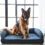 Brentwood Home Runyon Orthopedic Pet Bed, Puppy Dog Couch, Washable Cover, Waterproof Liner, Non-Toxic, Memory Foam Sofa for Dogs and Cats, Made in California