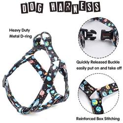 QQPETS Dog Harness and Leash Set Adjustable Back Clip No Pull Quick Fit/Release Halter Harness with Heavy Duty Leash 5FT Long for Extra Small Medium Large Breed Dogs Training Easy Walk