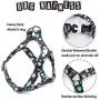 QQPETS Dog Harness and Leash Set Adjustable Back Clip No Pull Quick Fit/Release Halter Harness with Heavy Duty Leash 5FT Long for Extra Small Medium Large Breed Dogs Training Easy Walk