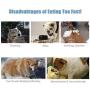TANDD Slow Feeder Bowl, Anti-Choke Pet Bowls, Pets Water Bowl, Healthy Food Fun for Dog/Puppy
