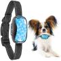 GoodBoy Small Rechargeable Dog Bark Collar for Tiny to Medium Dogs Weatherproof and Vibrating Anti Bark Training Device That is Smallest & Most Safe On Amazon - No Shock No Spiky Prongs! (6+ lbs)