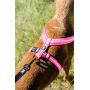 Hurtta Pet Collection Padded Y-Harness