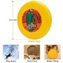 Pet Frisbee Flying Disc Dog Toy - Multifunction Ali Baba Et Les Quarante Voleurs001